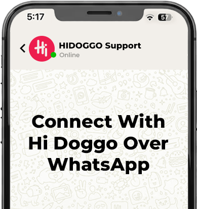 Connect With Hi Doggo Over WhatsApp
