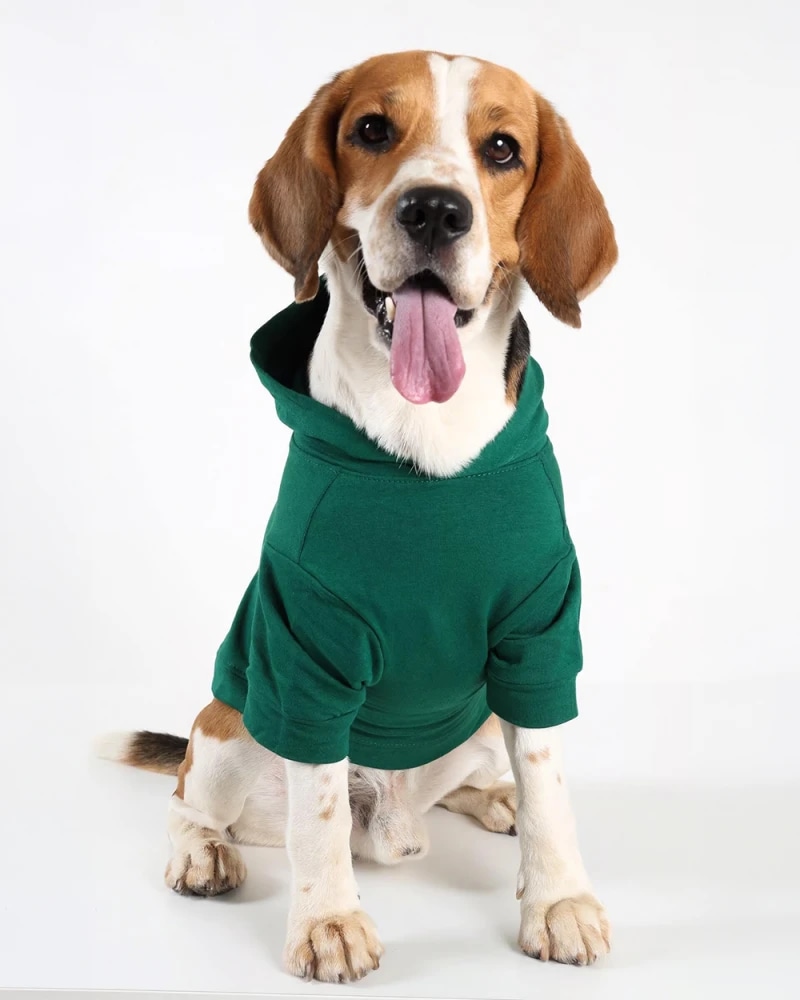 Green Desky