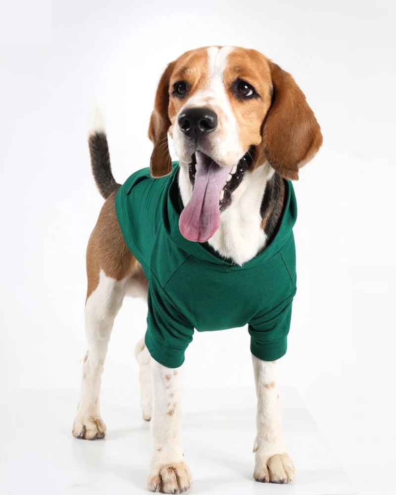 Green Desky