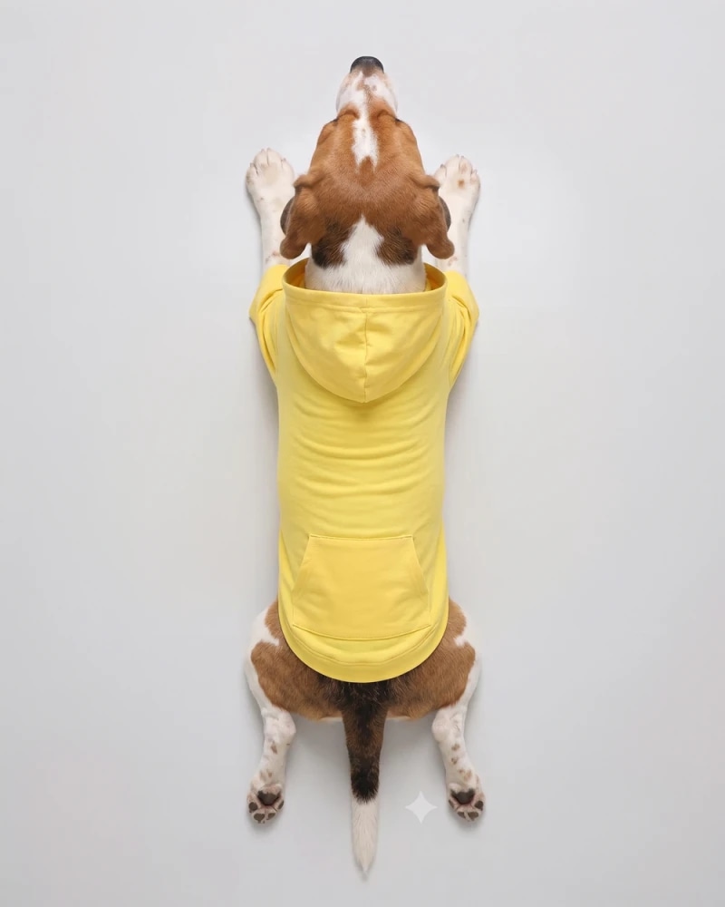 Yellow Dark