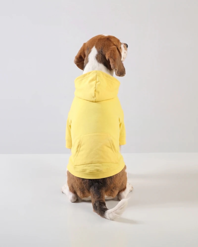 Yellow Dark