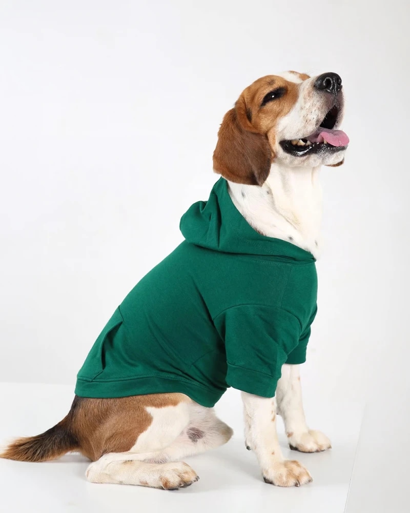 Green Desky