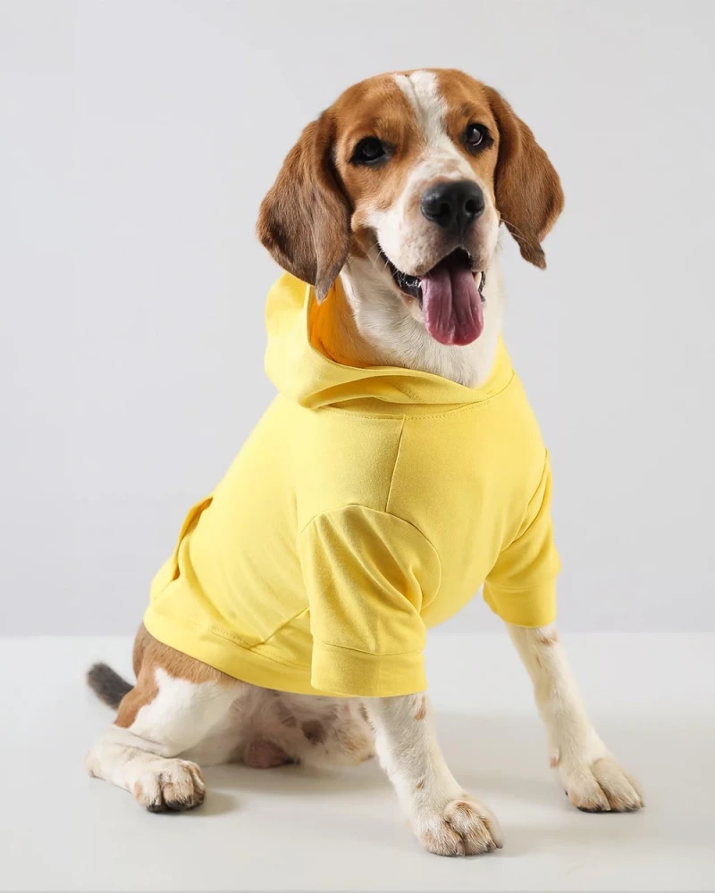 Yellow Dog Hoodie – Comfortable Pet Sweatshirt with Hood