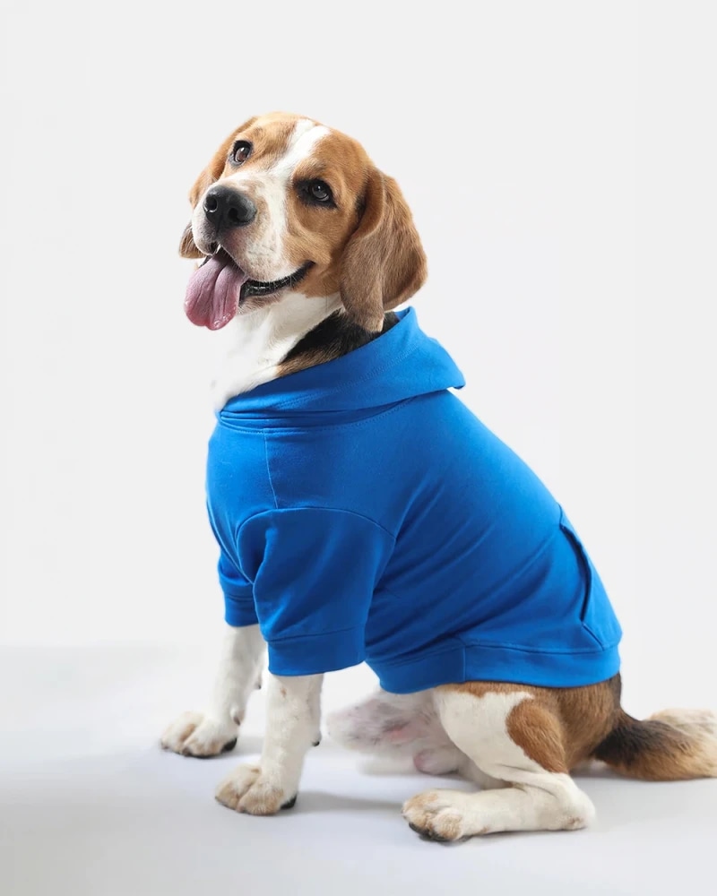 Classic Dog Hoodie – Comfortable Pet Sweatshirt